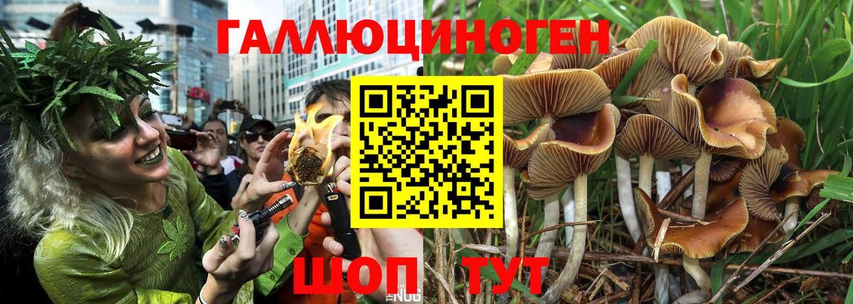 Корсаков  Псилоцибиновые грибы MAGIC MUSHROOMS  Галлюциногенные грибы мицелий  Вход с VPN 