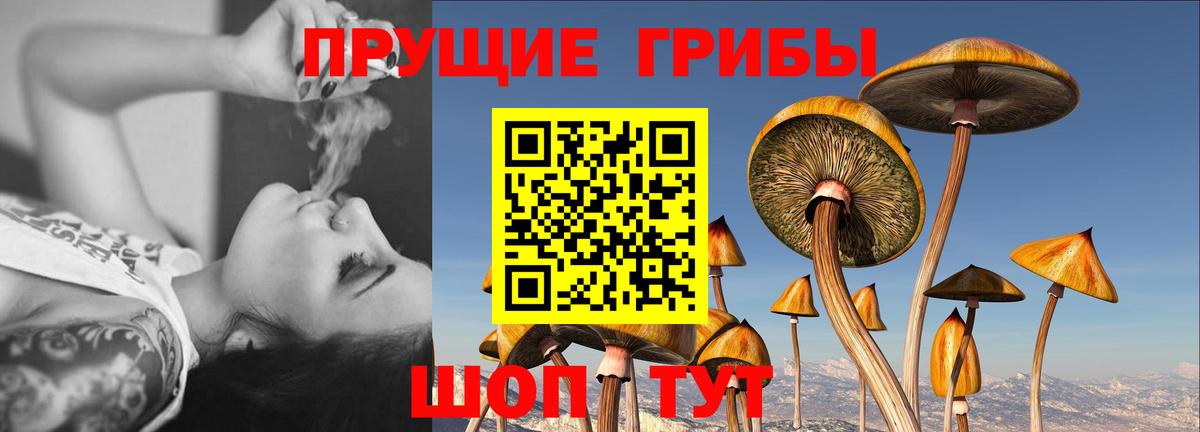 Галлюциногенные грибы мицелий Корсаков